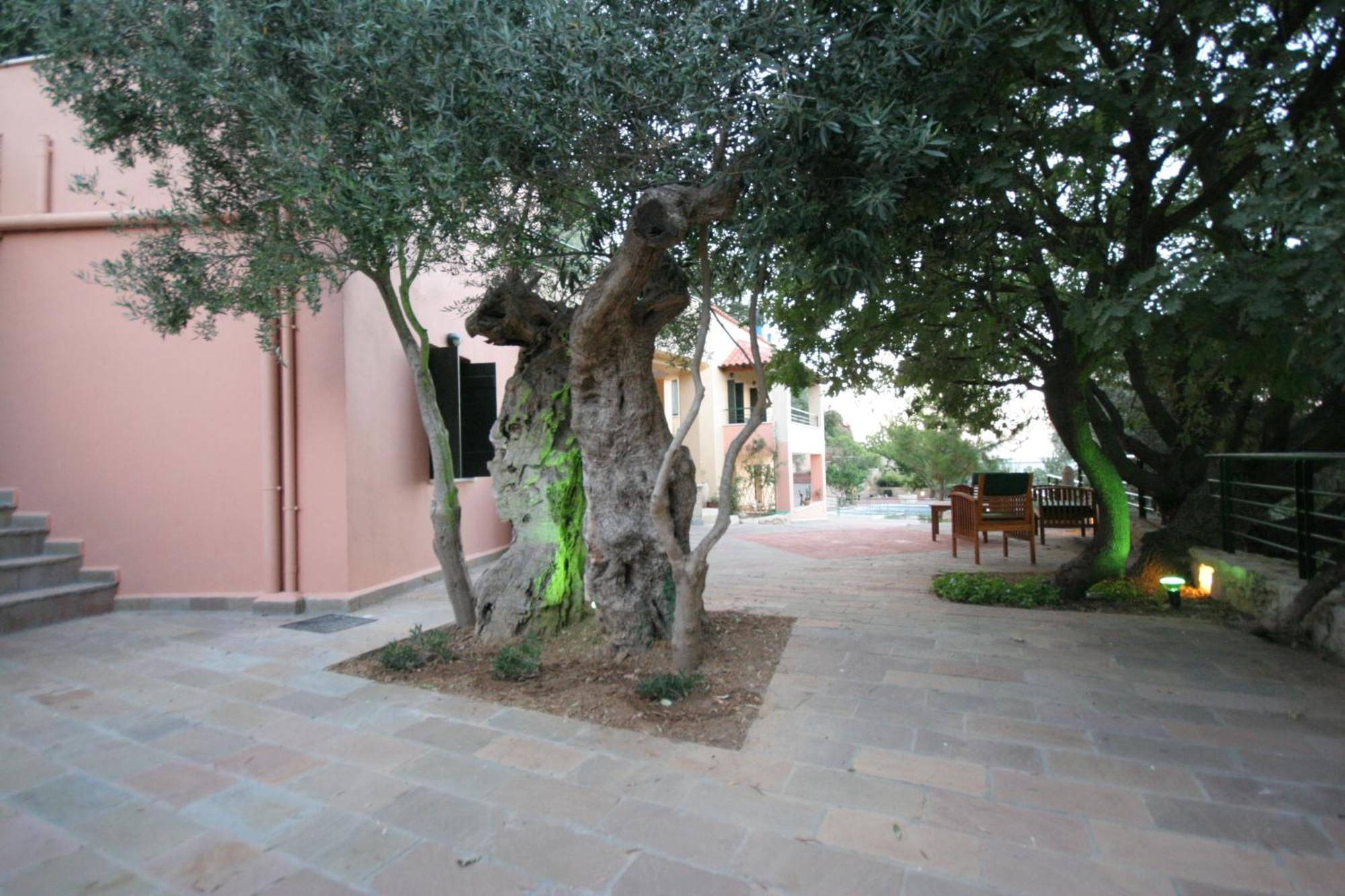 Kastellos Traditional Houses Exterior foto